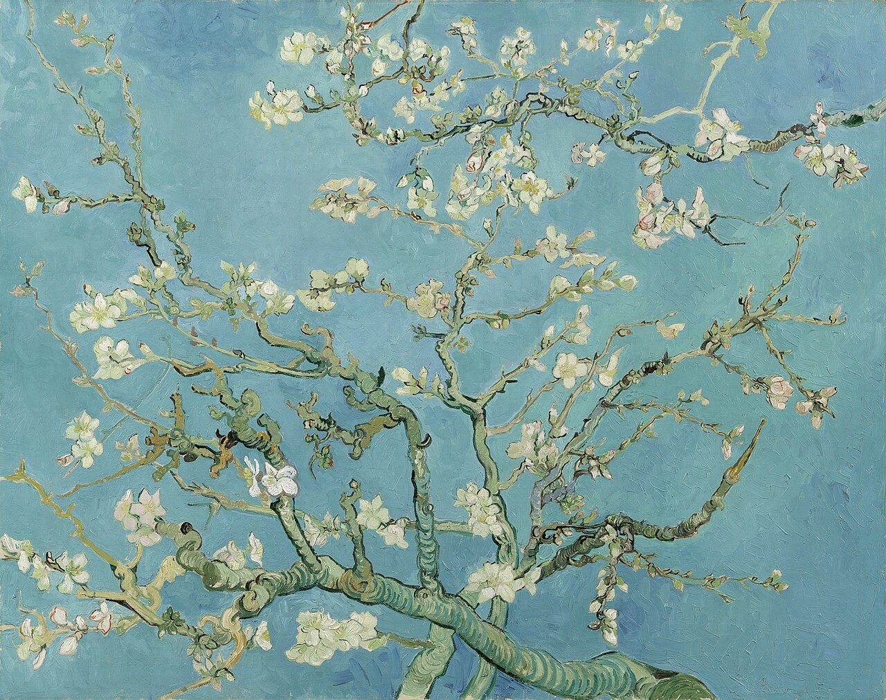Van Gogh's Almond Blossom — pale blue branches with white blossom